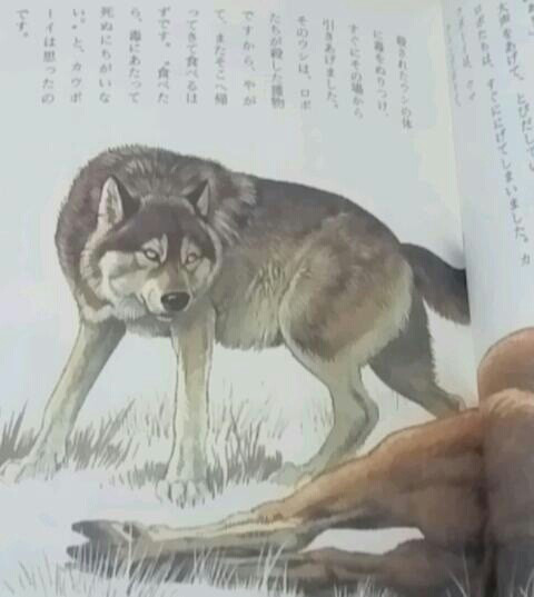 心に残る一冊 その44 シートン動物記 狼王ロボ 綜合的な教育支援のひろば