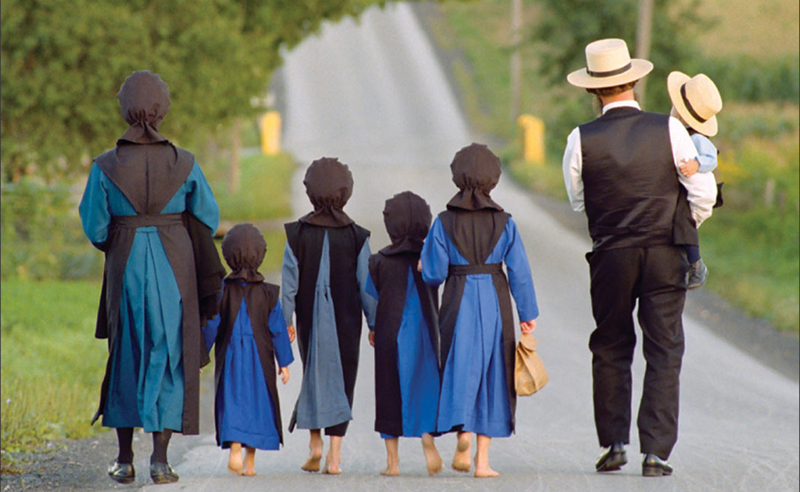 Amish | 綜合的な教育支援のひろば